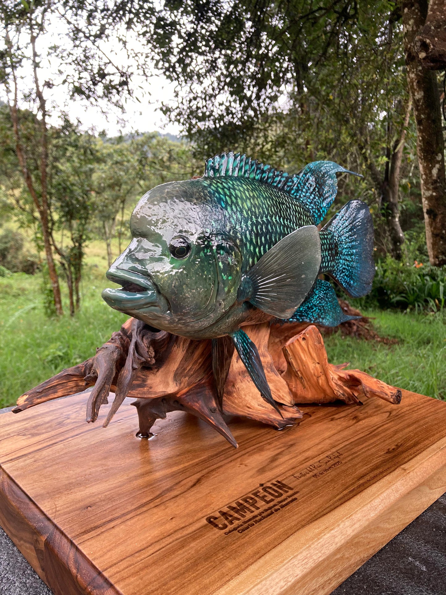 Blue Mojarra