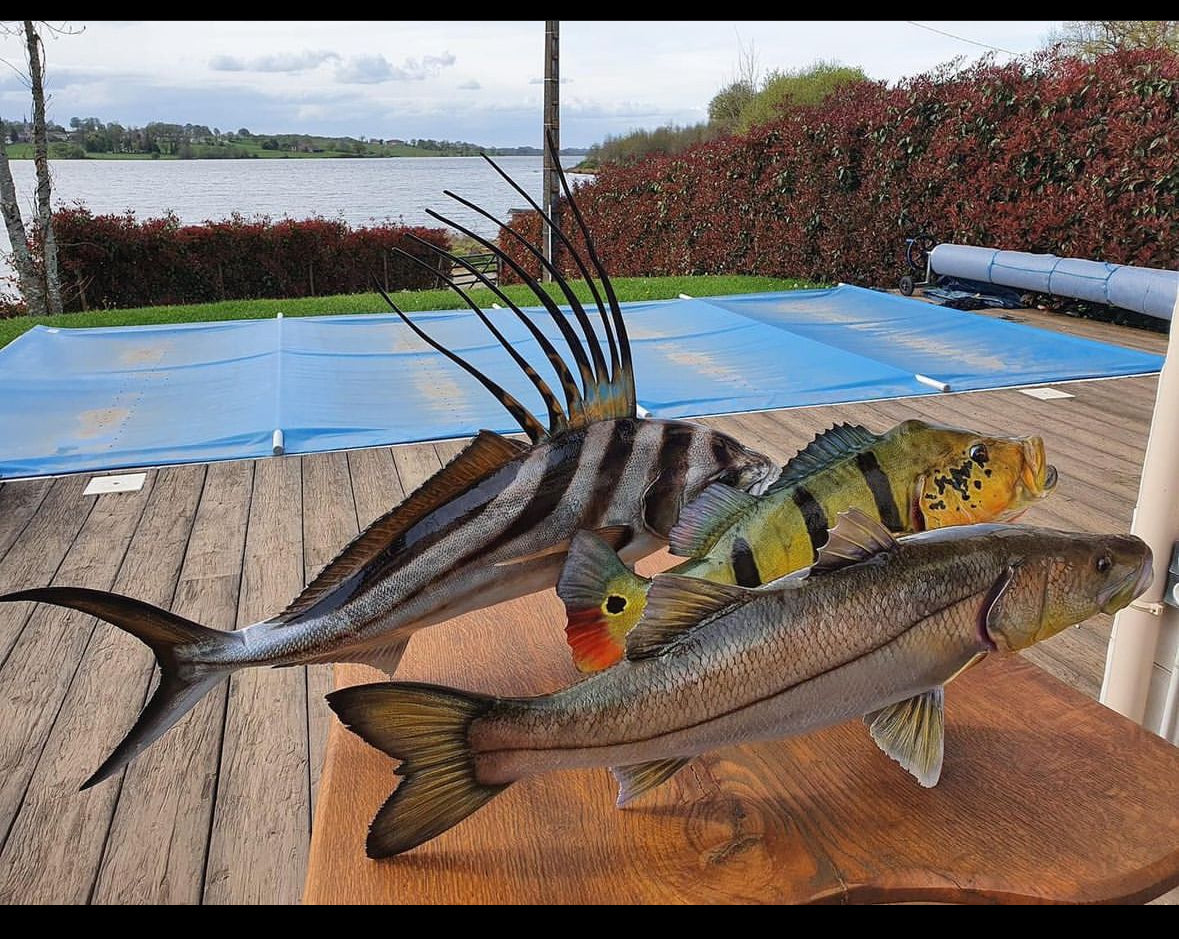 Snook