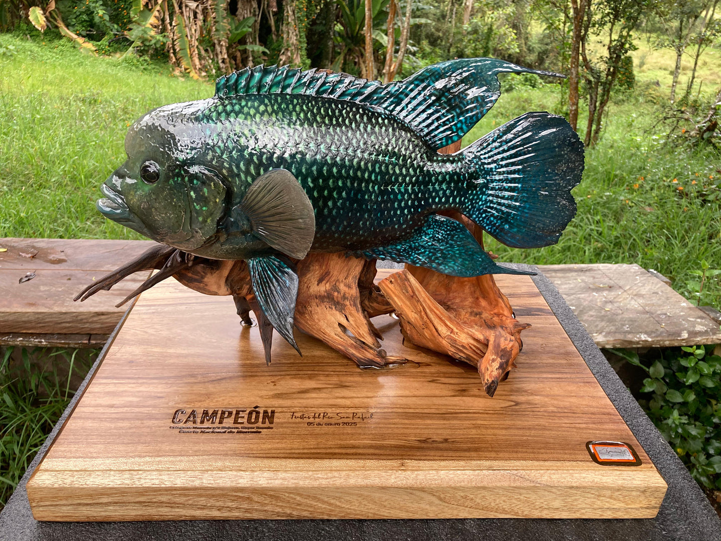 Blue Mojarra