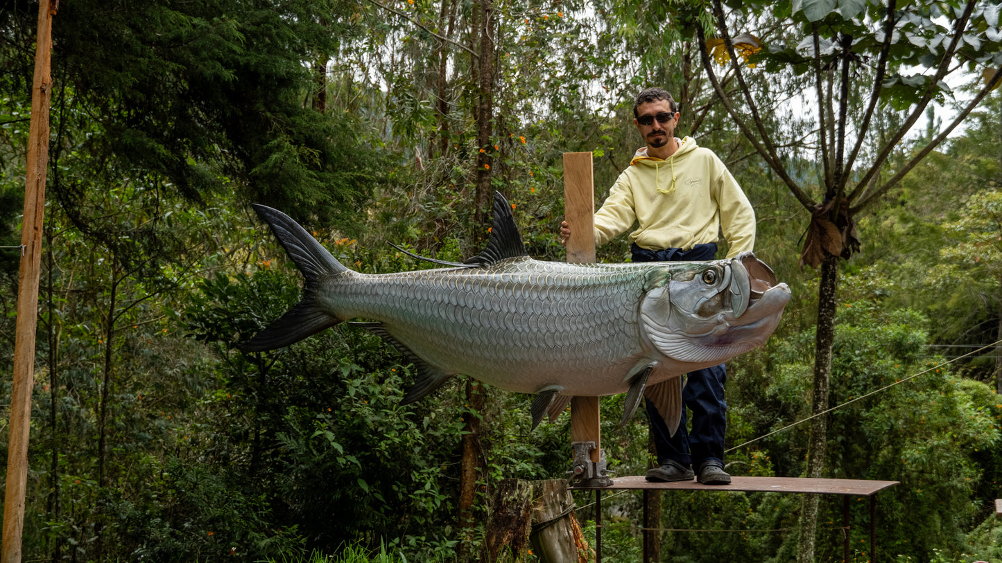 Tarpon