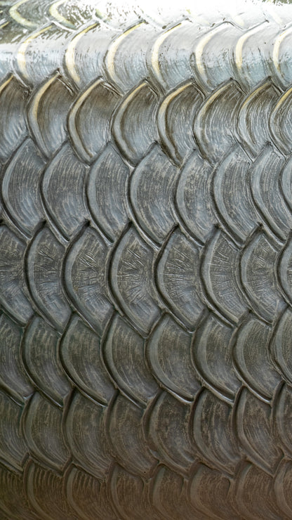 Tarpon