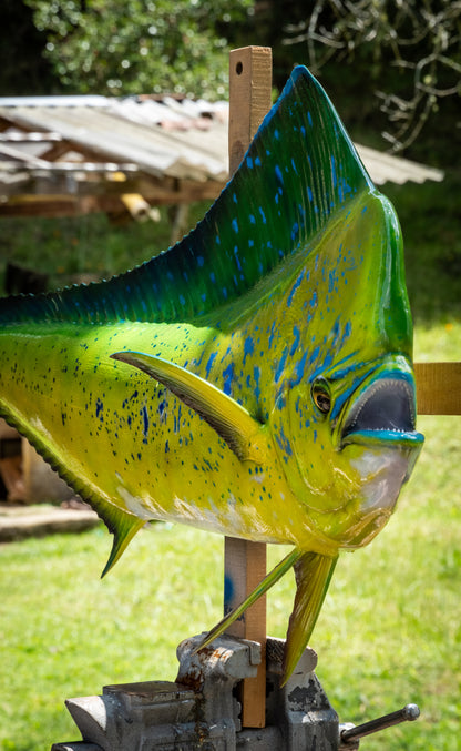 Mahi Mahi