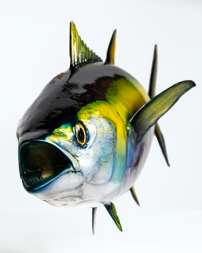 Yellowfin Tuna