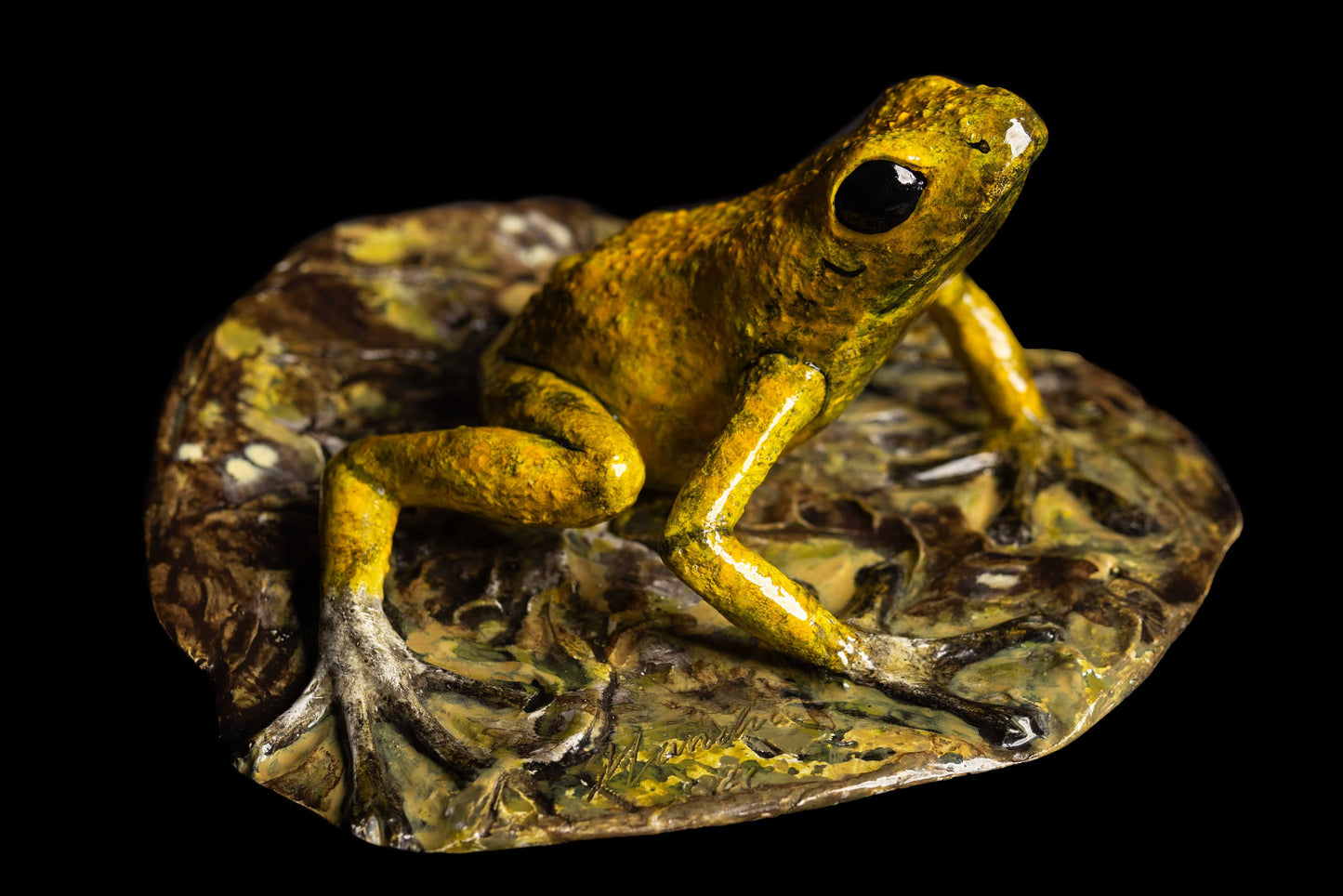 Dart Frog