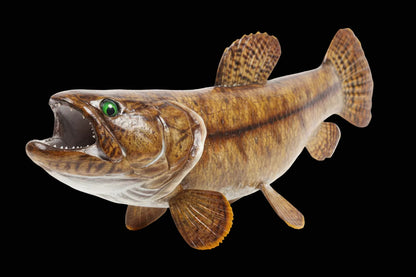 Wolfish