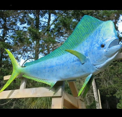 Mahi Mahi