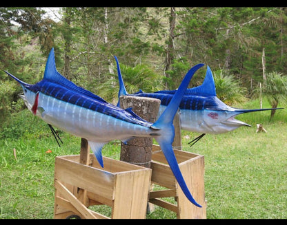 Blue Marlin