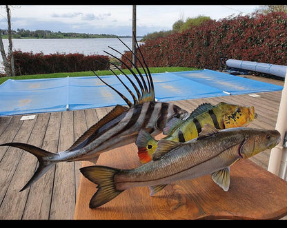 Snook