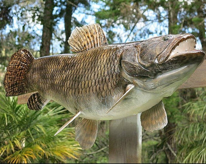 Wolfish