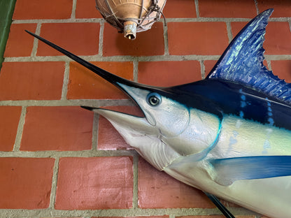 White Marlin