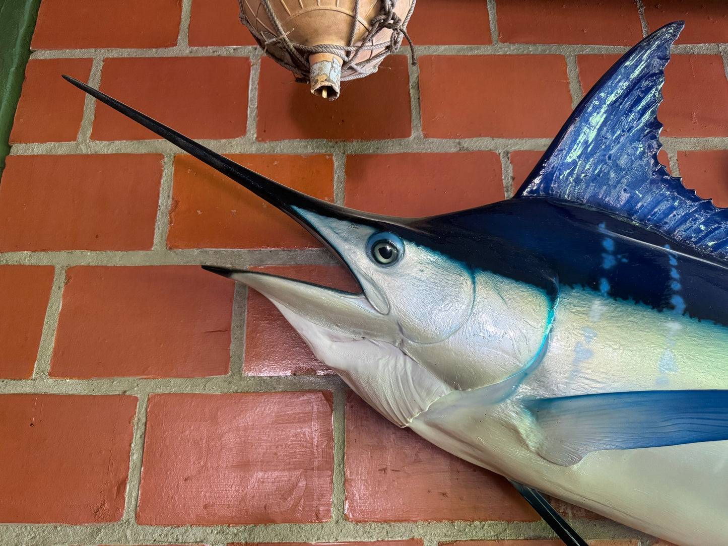 Blue Marlin