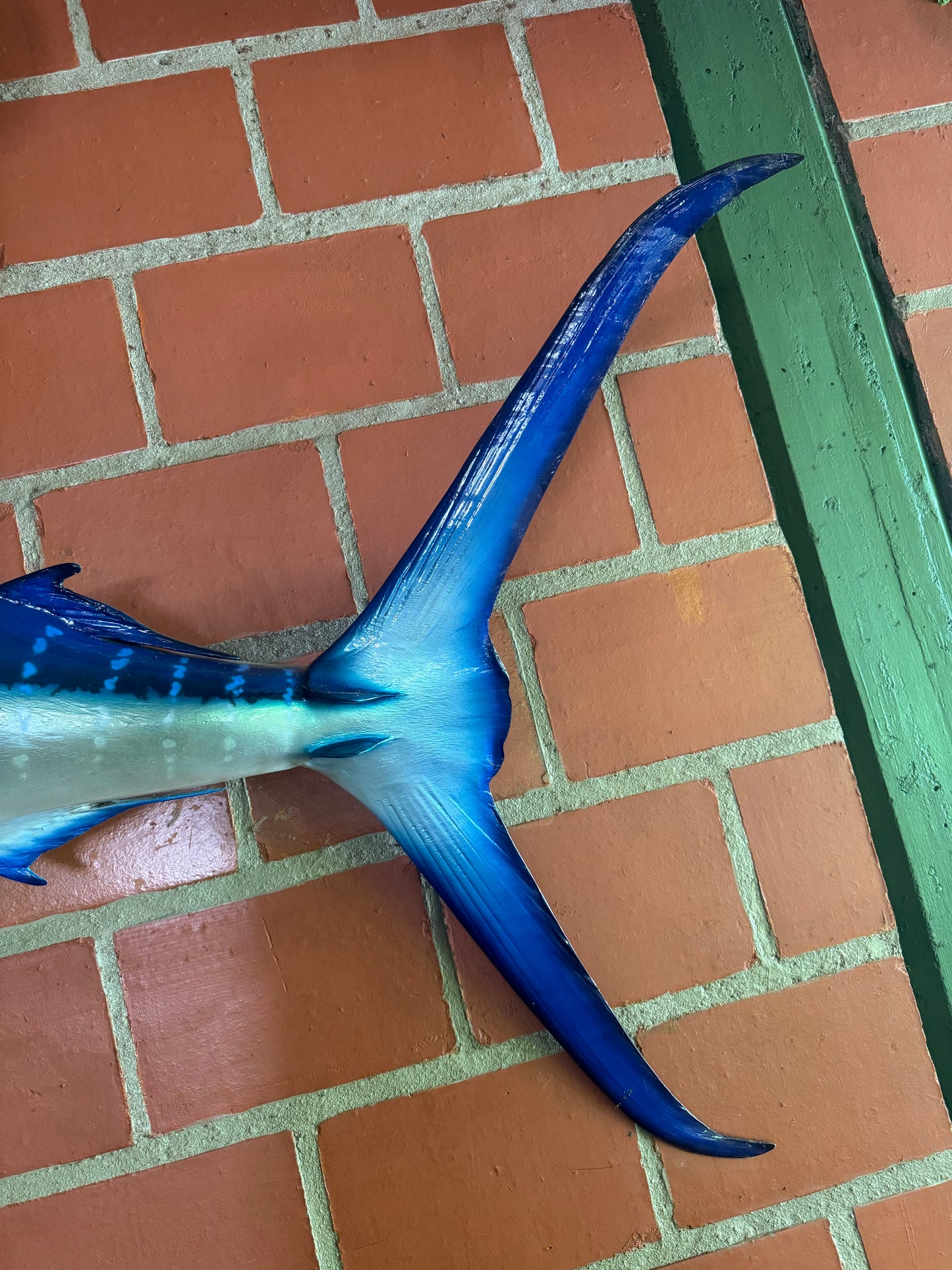 White Marlin