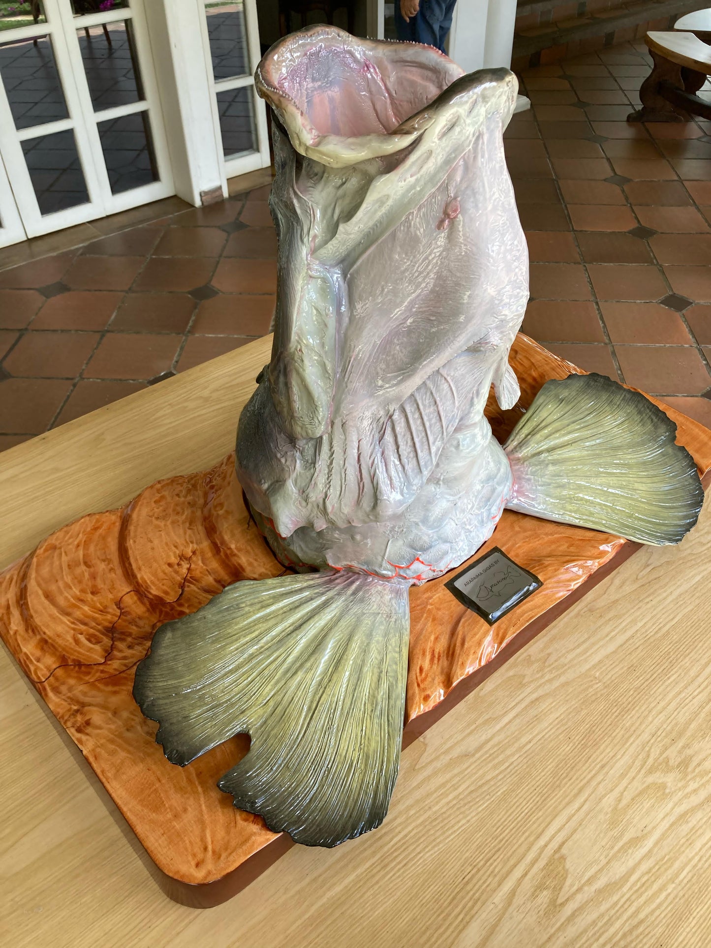 Arapaima