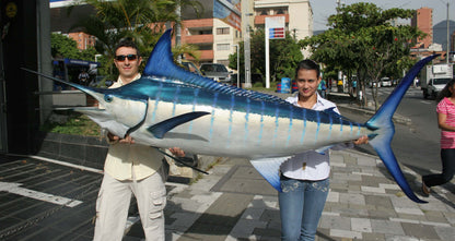White Marlin